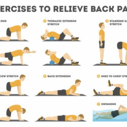 Exercises for lower back fat